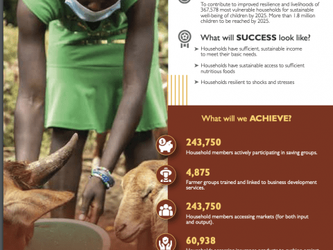 Resilience & Livelihoods Capacity Statement