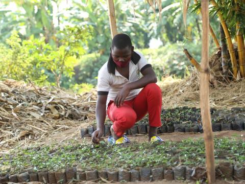 Dieudonne helping his mother in the greenhouse