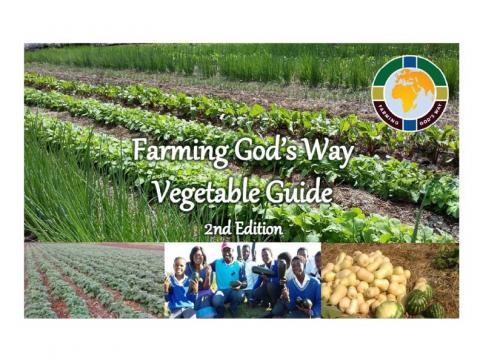 Farming God's Way: Vegetable Garden