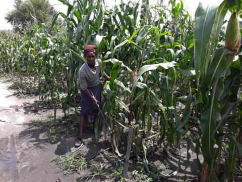 I am pleased that we can now grow crops throughout the year. Our families can access fresh vegetables all the time. We can afford three meals a day.