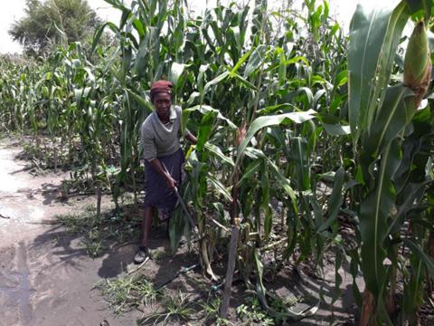 I am pleased that we can now grow crops throughout the year. Our families can access fresh vegetables all the time. We can afford three meals a day. 