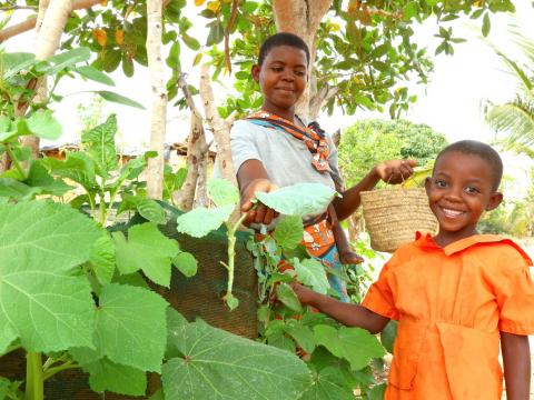 Pendo at the garden