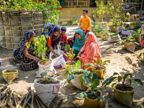 Agriculture policy brief