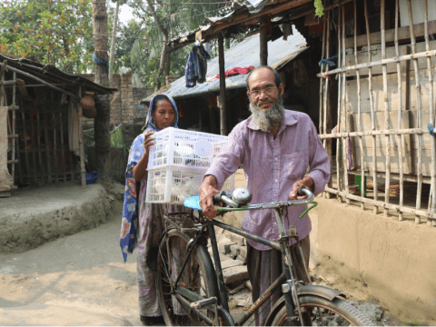 Lifting households 1