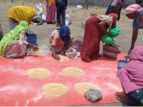 WFD Crisis Response - Ethiopia