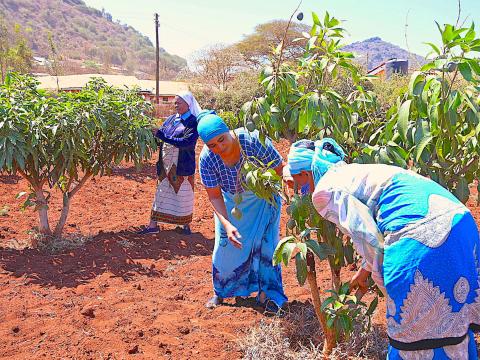 women groups