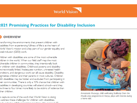 Promising practices for disability inclusion