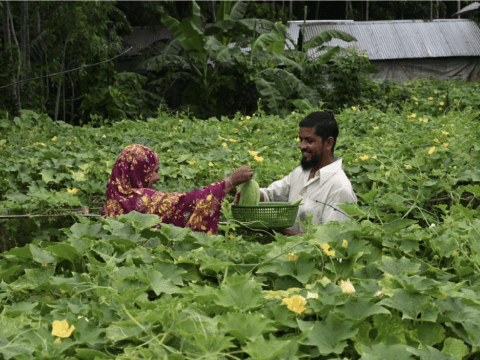 AsiaPacific_Grants
