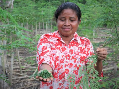 Smiling woman in Timor-Leste showing superfood