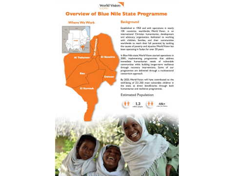 Blue Nile State profile