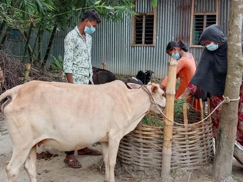 Panna, mother and wife in Bangladesh has benefited and flourished through the recipient of animals
