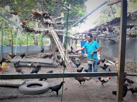 Hernani is feeding chickens. Image: Feliciano Luis / World Vision
