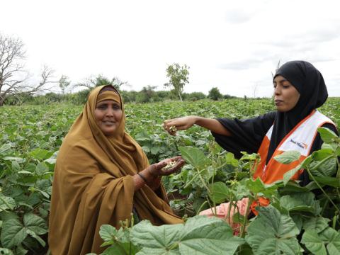 Diversification helps communities to tackle malnutrition and beat the drought in Kenya
