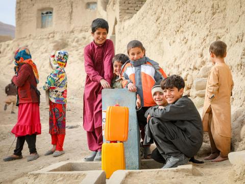 ECHO EXPERT (full or part-time position – 1-year contract located in Germany or Home Office, EU)