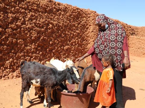Nasbatou her daughter and her animals
