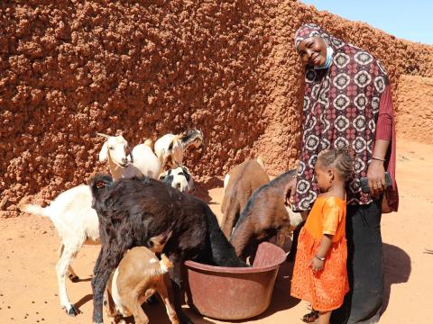 nasbatou and her animals