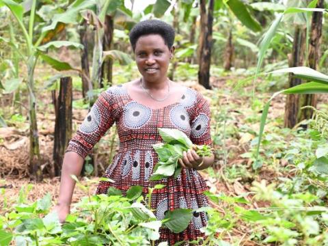 Chantal getting vegetables from her kitchen garden