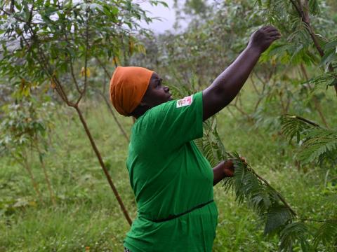 Earth Day - Beatrice from Rwanda