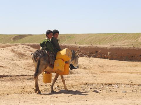 Oasis amid the drought