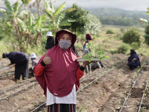 Indonesia LENTING project climate change adaptation