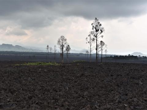 Photo of destroyed fields by the volcano lava