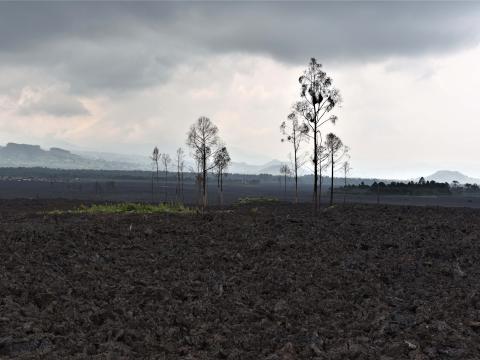 Photo of destroyed fields by the volcano lava