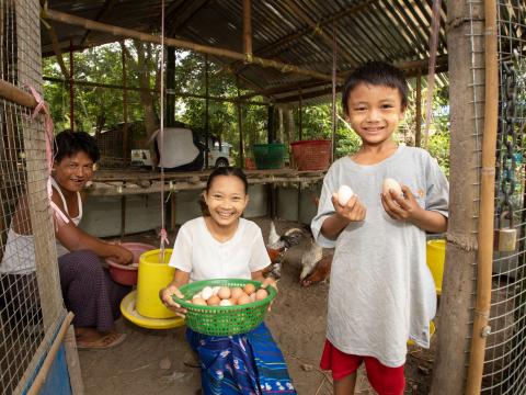 Livelihood & Resilience