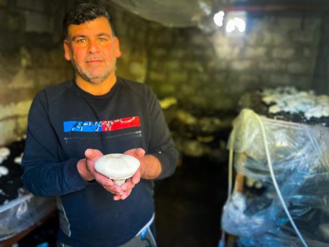 Faisal holds a sample of mushrooms for the second batch of production. (© World Vision 2022 l photo by Muhammed Abd Salam)