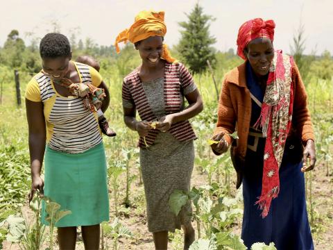 Beatrice educates other women on farming techniques