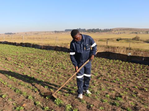 28-year-old farmer, Dumisani Dlamini of Maseyisini Area Programme. 