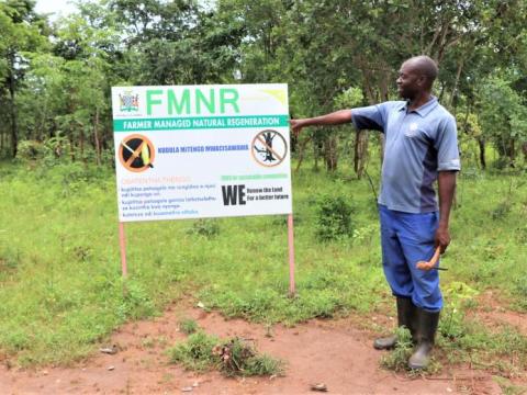 Man stands looking at an educational sign about foresting