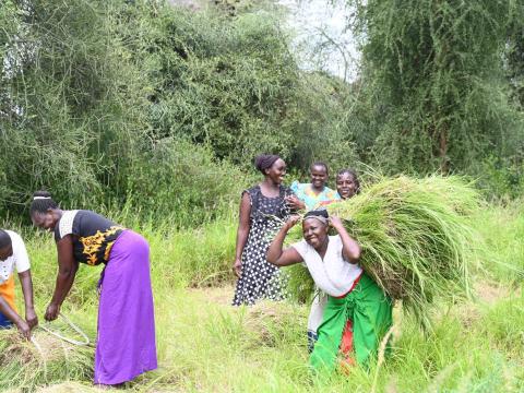 Women smiling as they collect crops in a field