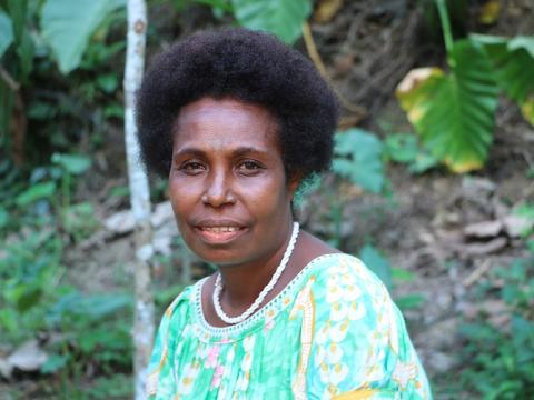 Clone Cocoa Introduction expected to improve cocoa farming in Usino (4).jpg