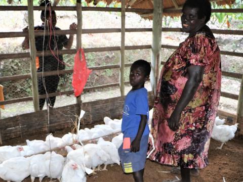 S4T Empowers Margaret to venture into Poultry Farming (1)