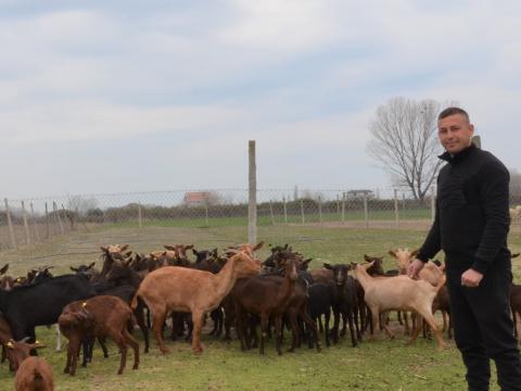 Alfred in the farm