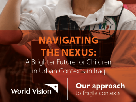 Navigating the nexus Iraq