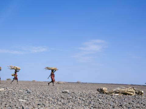 Women walk past a carcass. Most families have lost animals to the drought.