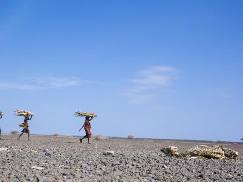 women carrying bundles on their heads over dry ground