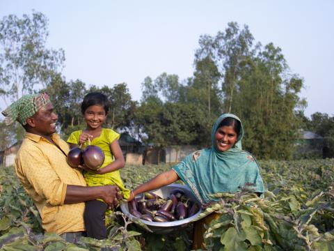 A man, a woman, and a child smiling in an aubergine crop