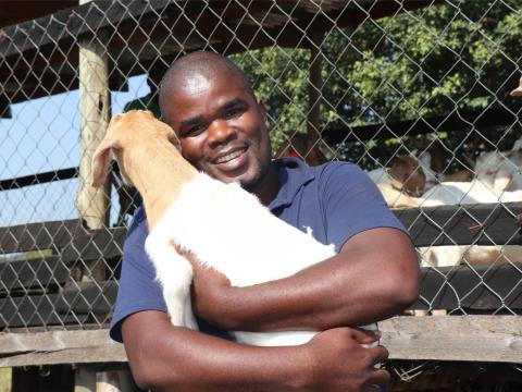 Goats, Livelihood, Eswatini