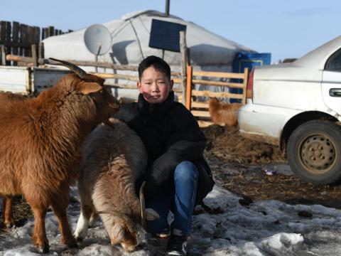 Giving herders’ purchasing power through multi-purpose cash