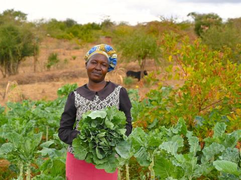 Water harvesting makes family food secure amid long droughts. World Vision