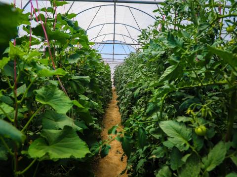 Empowering Women through Income-Generating Projects