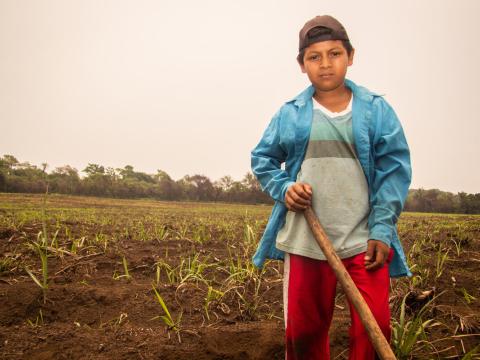 Latin American Child in field with hoe