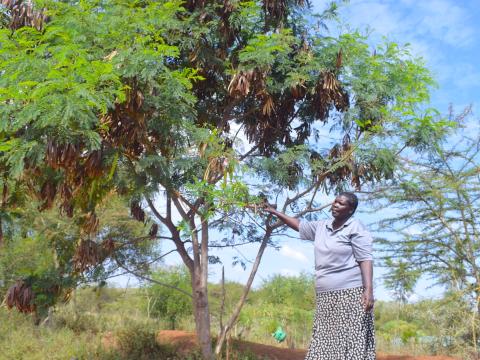 Through regreening initiatives that spur carbon sequestration, World Vision is reviving productivity in arid lands to beat climate change and improve livelihoods. ©World Vision Photo/Sarah Ooko.
