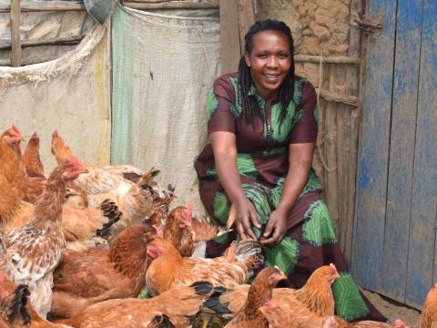 Alice in her poultry firm