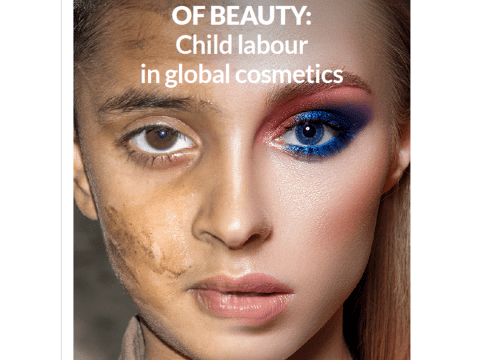 High Price of Beauty Report