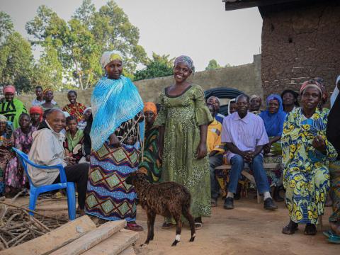 Members of the MUUNGA group rotating sheep.  Some beneficiaries of this group, but not all, had received sheep from World Vision.