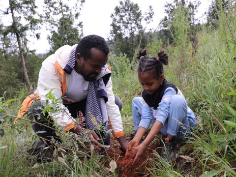 Planting tree with children