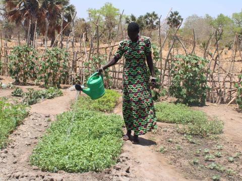 Agar’s vegetable garden